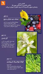 ادکلن پری شب ZUOFUN - Image 5