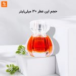 عطر زنانه VENDOME - Image 3