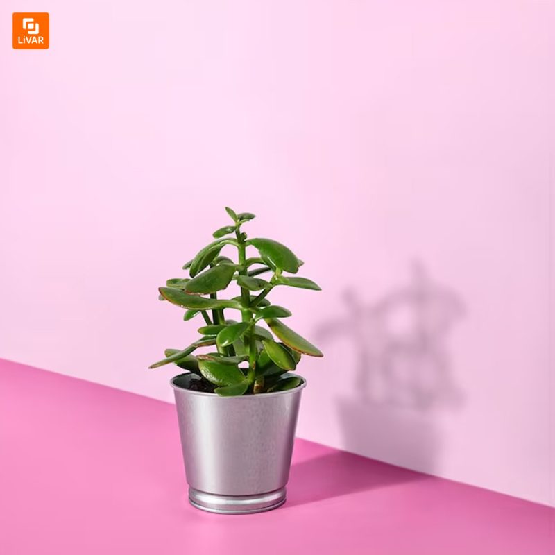 گلدان IKEA - Image 5
