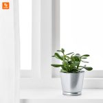 گلدان IKEA - Image 7