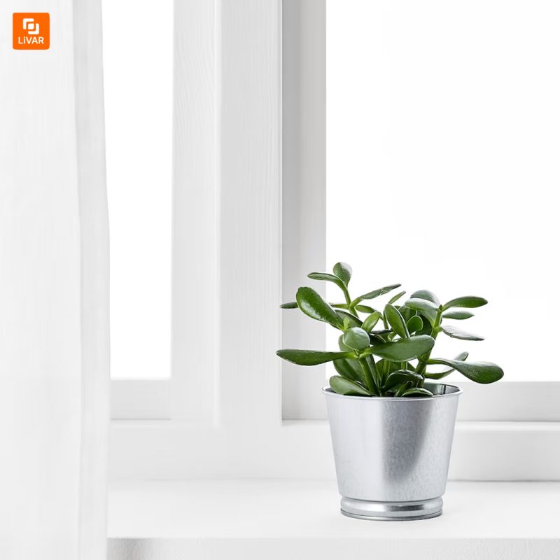 گلدان IKEA - Image 7