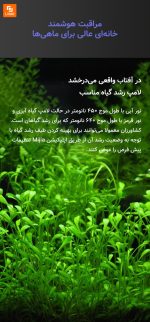 آکواریوم ماهی هوشمند Mijia - Image 12