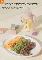 آبمیوه گیری بی صدا کوچک mokkom - Image 8