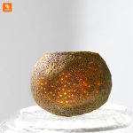 چای سبز Qingyuantang - Image 2