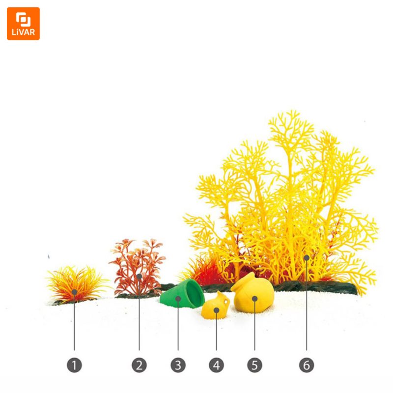 گیاه آکواریومی Descriptive Geometry - Image 8