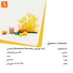 گیاه آکواریومی Descriptive Geometry - Image 9