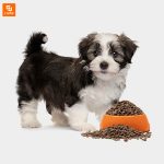 غذای سگ NOURSE - Image 4