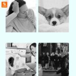 ضدعفونی‌کننده لباس و وسایل خانه leisure - Image 8