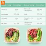 دستگاه ضد عفونی کننده میوه و سبزیجات YouBan مدل UPS-01 - Image 15