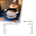 قابلمه الکتریکی BLAUPUNKT - Image 3