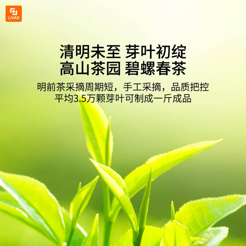 چای سبز Wenxiang - Image 8