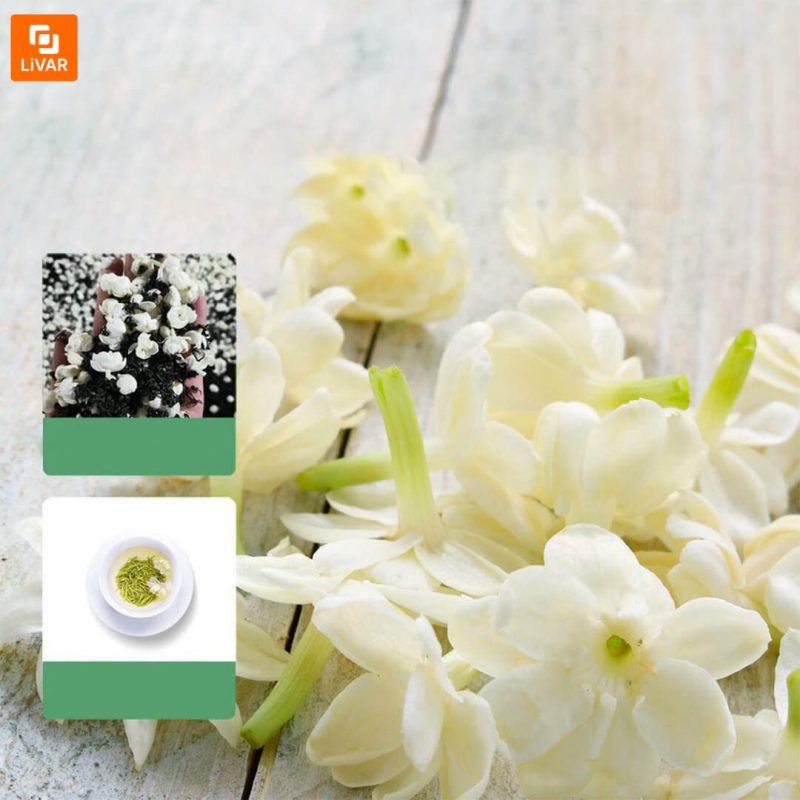 چای معطر گل یاس و ارکیده - Image 4