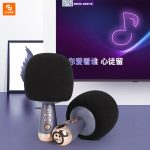 میکروفون KTV مدل P60 - Image 2