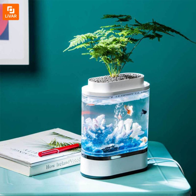 آکواریوم و گلدان مدل 1pc - Image 2