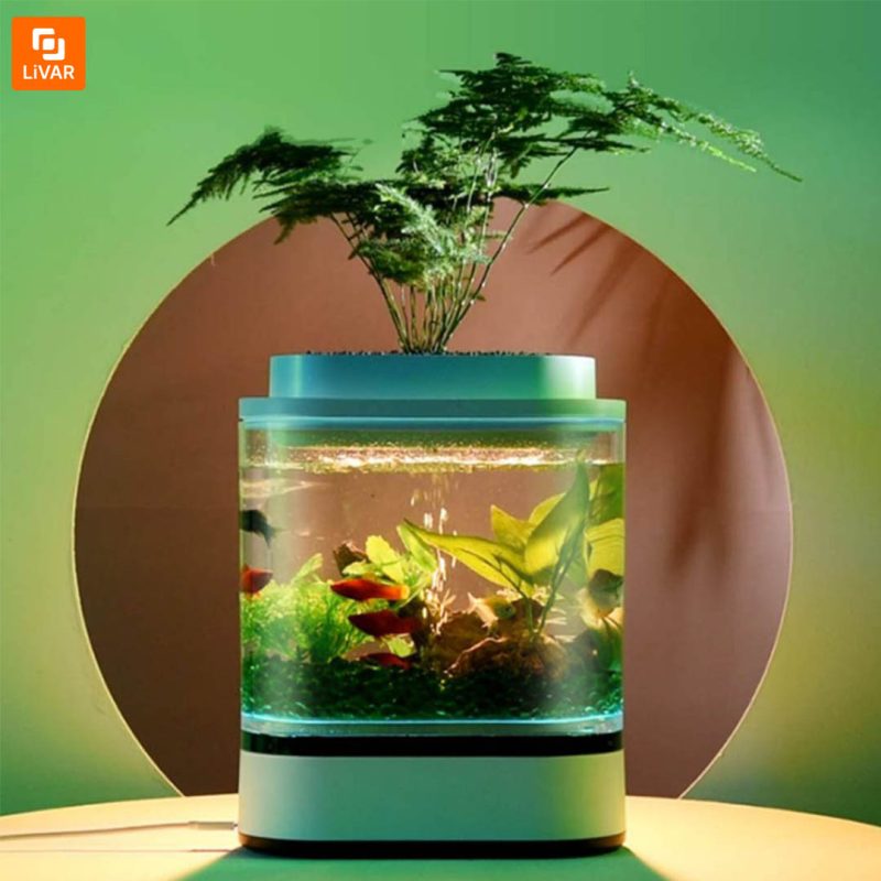 آکواریوم و گلدان مدل 1pc - Image 11