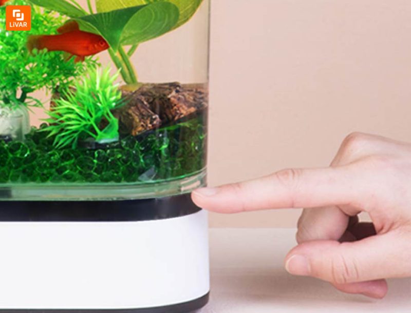 آکواریوم و گلدان مدل 1pc - Image 15