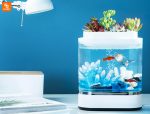 آکواریوم و گلدان مدل 1pc - Image 16