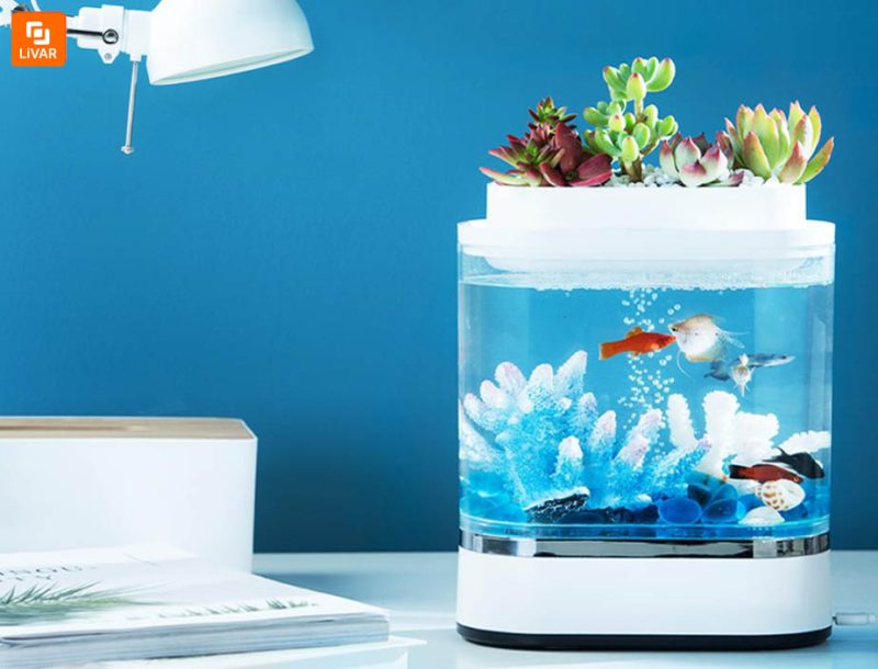 آکواریوم و گلدان مدل 1pc - Image 16