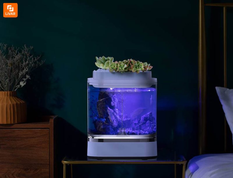 آکواریوم و گلدان مدل 1pc - Image 17