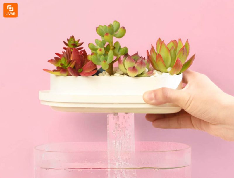 آکواریوم و گلدان مدل 1pc - Image 18