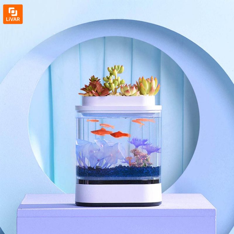 آکواریوم و گلدان مدل 1pc - Image 3