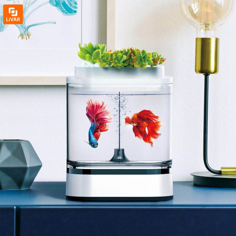 آکواریوم و گلدان مدل 1pc - Image 6