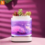 آکواریوم و گلدان مدل 1pc - Image 10