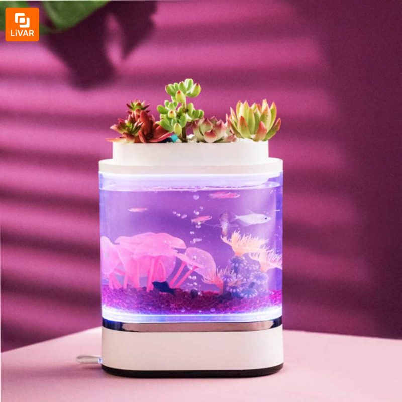 آکواریوم و گلدان مدل 1pc - Image 10