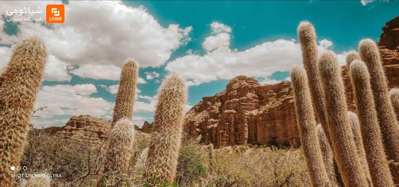 گوشی شیائومی Mi 11 Ultra 5G با ظرفیت 512 گیگابایت - Image 8