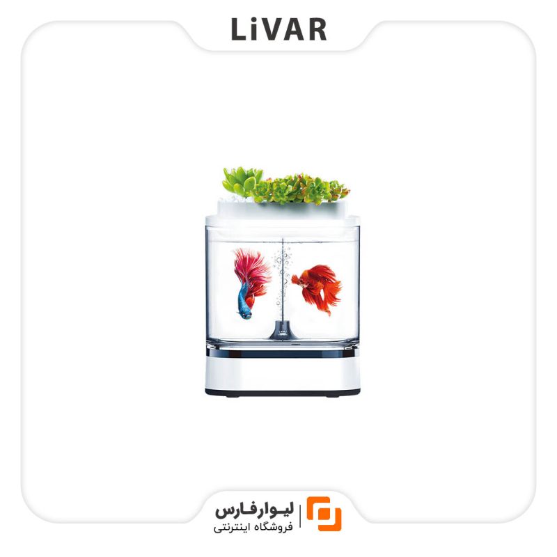 آکواریوم و گلدان مدل 1pc - Image 1