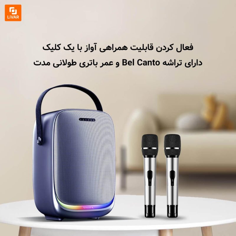 اسپیکر فضای باز بی‌سیم BINNIFA مدل ۳ - Image 3