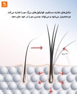 کیت تقویت‌کننده مو با پروتئین کلاژن Hemanman - Image 19
