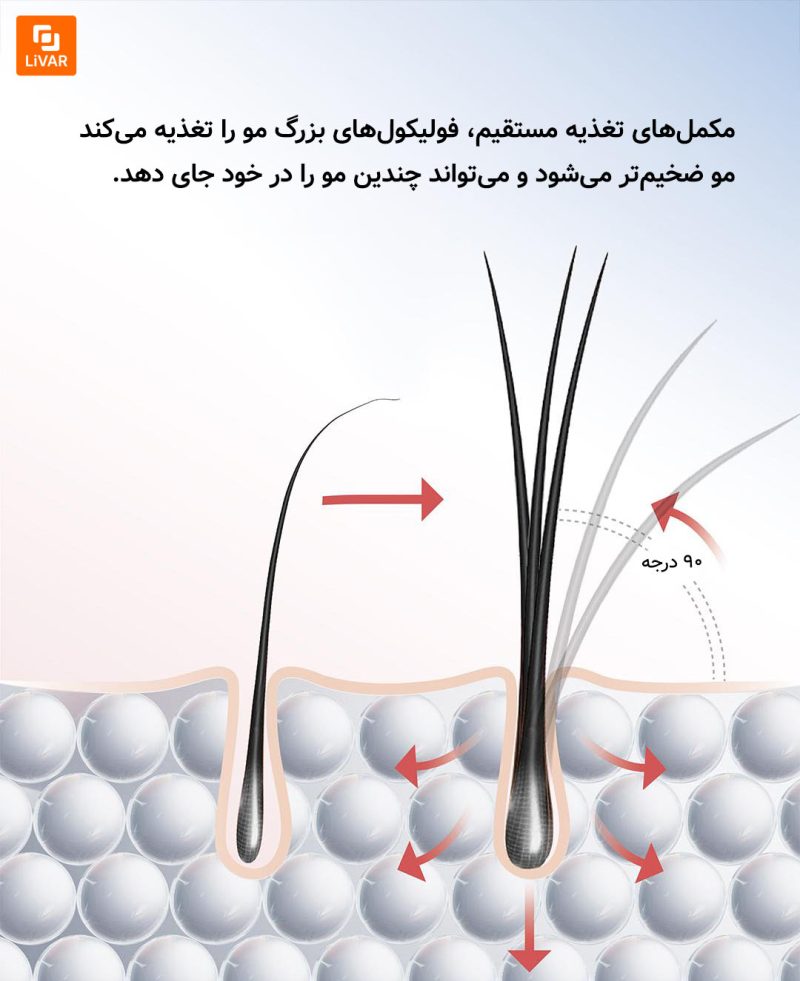 کیت تقویت‌کننده مو با پروتئین کلاژن Hemanman - Image 19