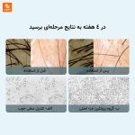 کیت تقویت‌کننده مو با پروتئین کلاژن Hemanman - Image 4