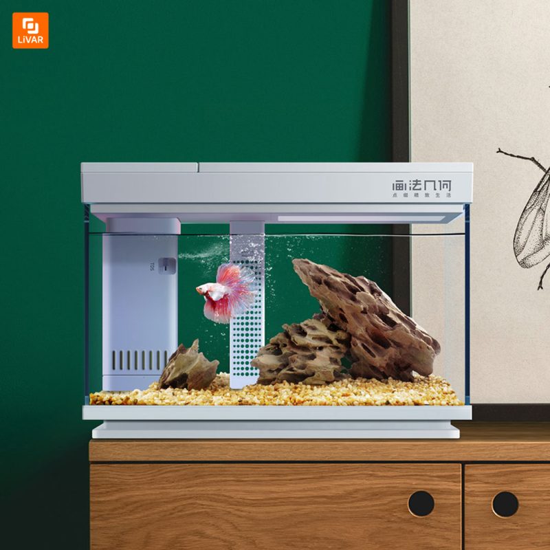 تخته ‌سنگ‌های مخصوص آکواریم - Image 2