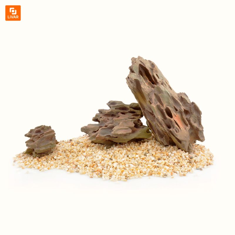 تخته ‌سنگ‌های مخصوص آکواریم - Image 4