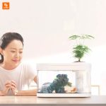 آکواریوم رومیزی - Image 2