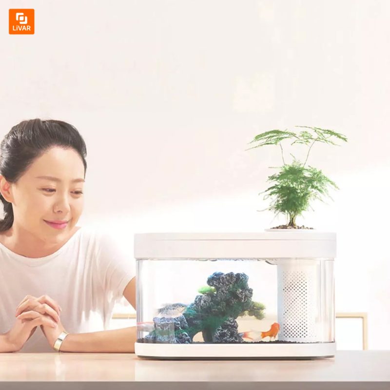 آکواریوم رومیزی - Image 2