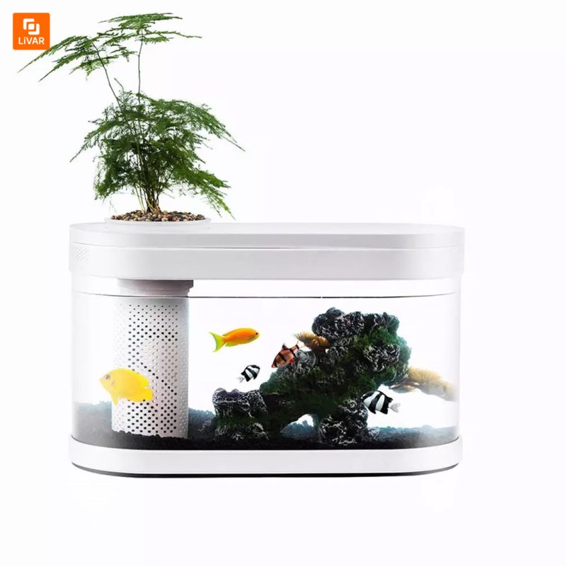 آکواریوم رومیزی - Image 3