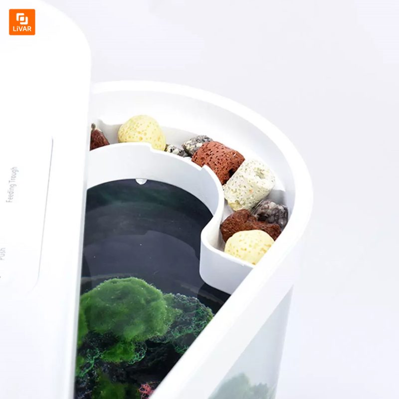 آکواریوم رومیزی - Image 4