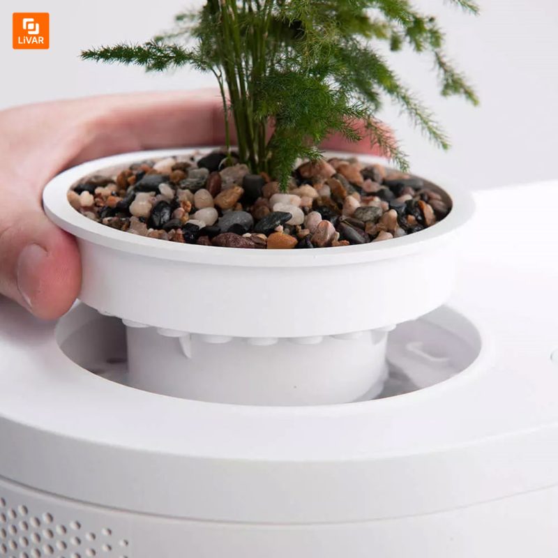 آکواریوم رومیزی - Image 5