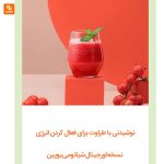 میکسر میوه قابل حمل Viomi - Image 6