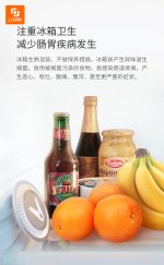 تصفیه هوا یخچال خانگی ازون استریل - Image 3