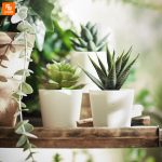 گیاه مصنوعی IKEA مدل FEJKA - Image 2
