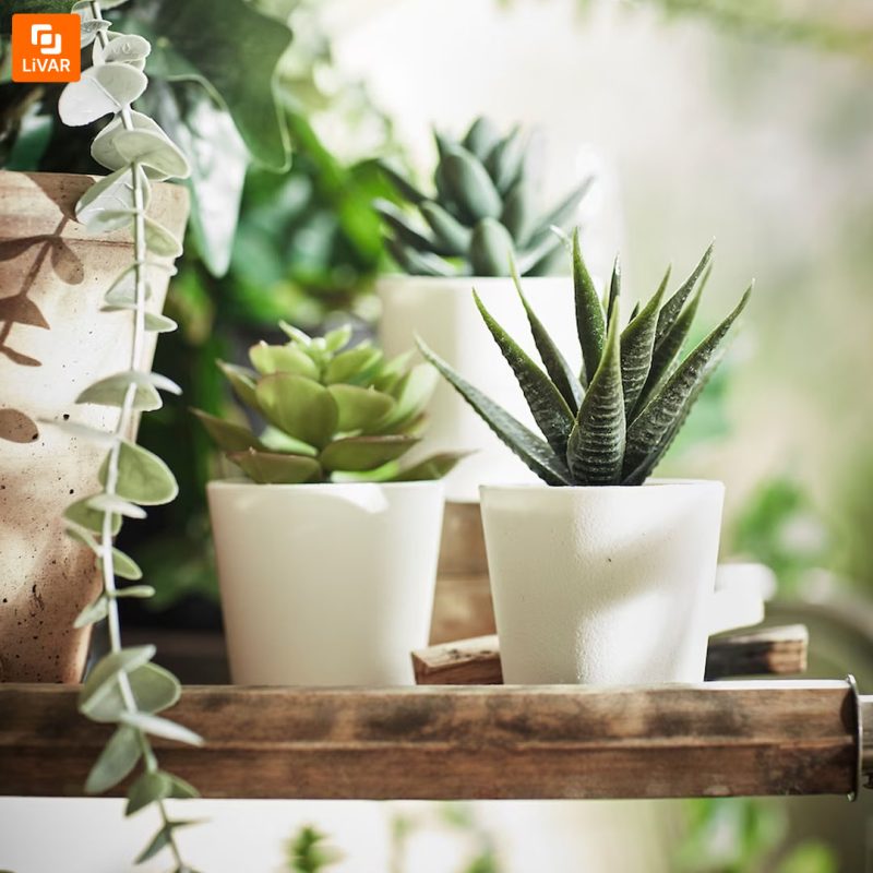 گیاه مصنوعی IKEA مدل FEJKA - Image 2