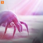 جاروبرقی درما - Image 3