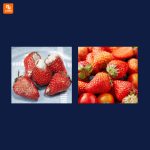 دستگاه خوش‌بوکننده یخچال EraClean - Image 2