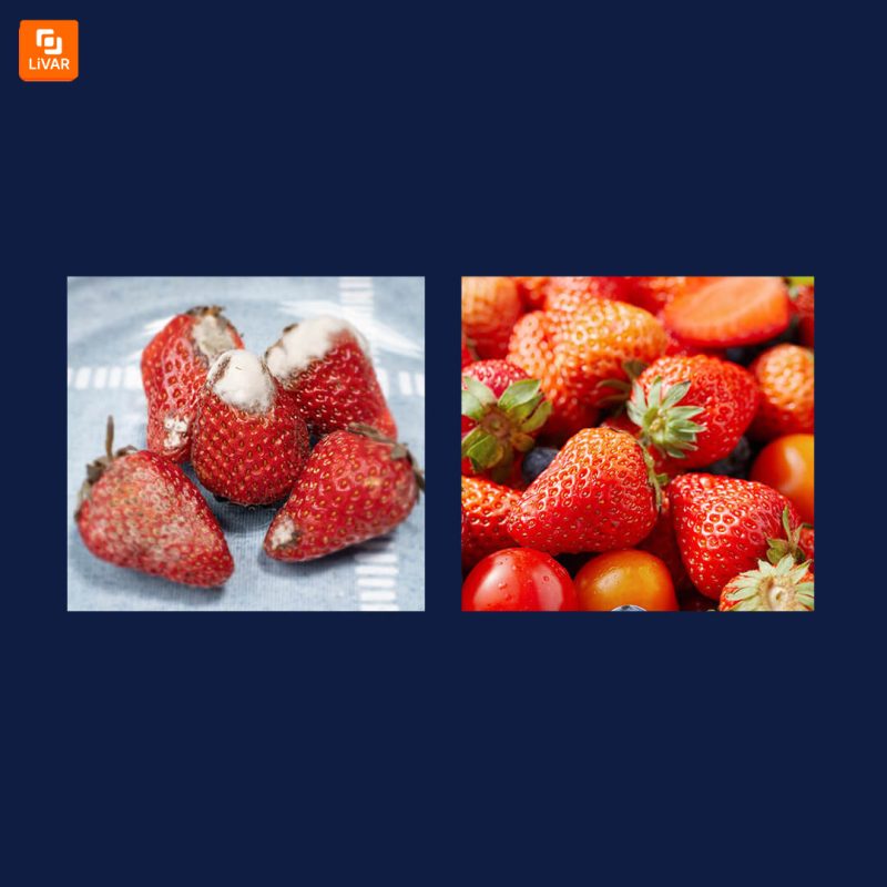 دستگاه خوش‌بوکننده یخچال EraClean - Image 2
