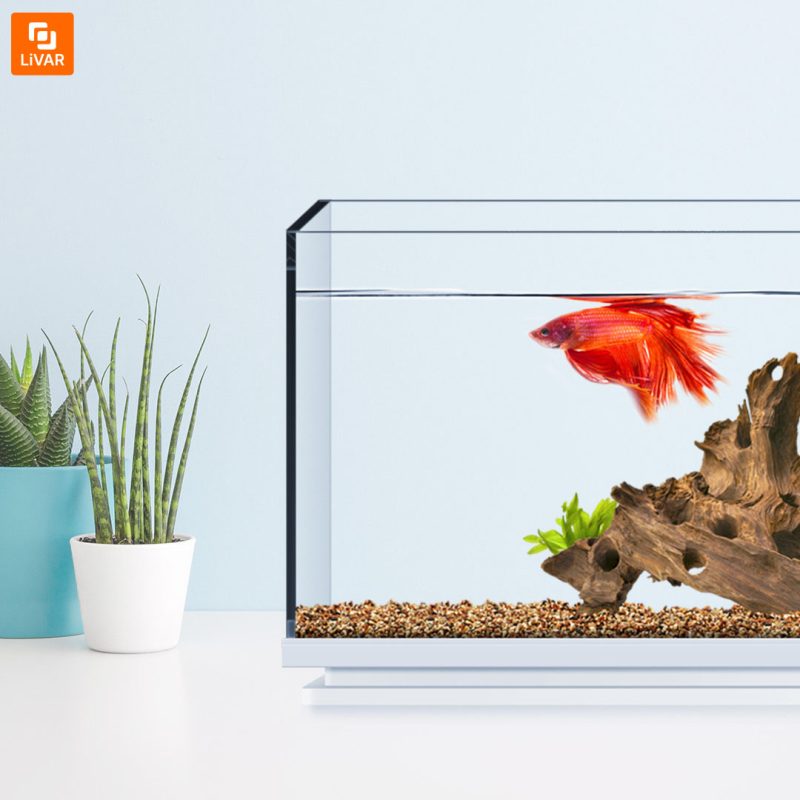 آکواریوم - Image 3