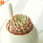 رطوبت سنج خاک - Image 6